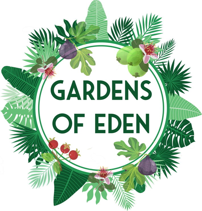 Gardens Of Eden: Garden Design | Soft Landscaping